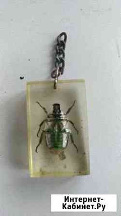 Жук в оргстекле Курган