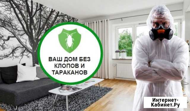 Уничтожение клопов, тараканов. Договор. Гарантия Барнаул - изображение 1