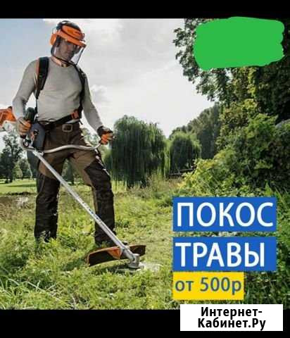 Покос травы Грибановский - изображение 1