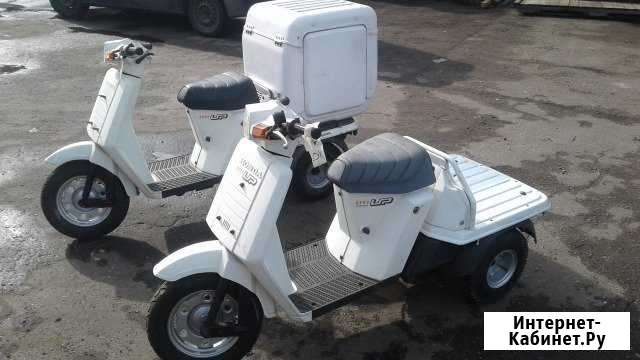 Honda Gyro UP Грузовой трех колёсный мопед Петергоф - изображение 1
