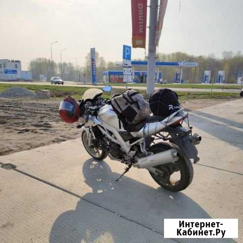 Suzuki SV1000S Новосибирск - изображение 1