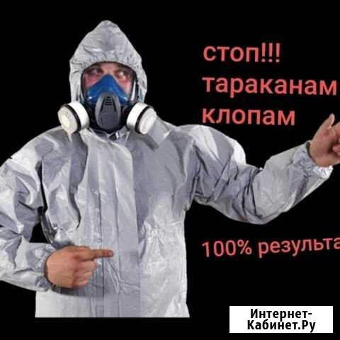 Уничтожение тараканов,клопов,блох,муравьев,клещей Красноярск - изображение 1
