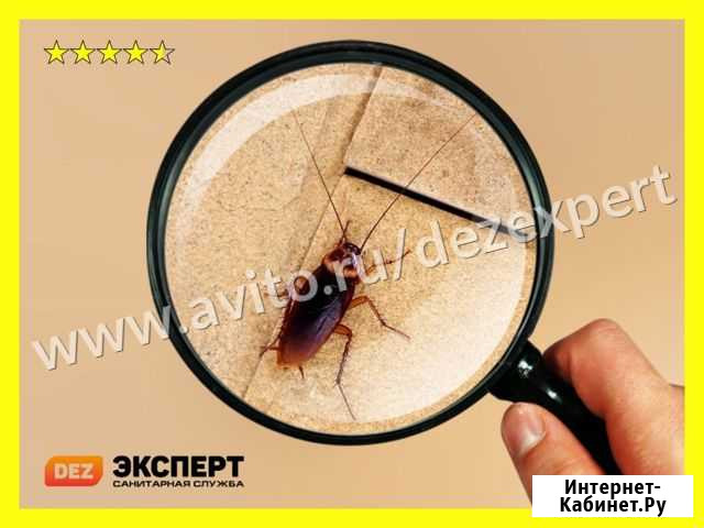 Уничтожение тараканов Нижний Новгород - изображение 1
