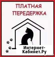 Передержка животных Белово - изображение 1