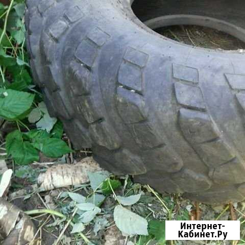 Покрышки Газ 66 Сосновка - изображение 1