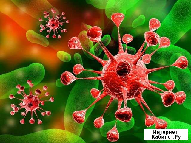 Дезинфекция кондиционера авто, удаление запахов Челябинск - изображение 1