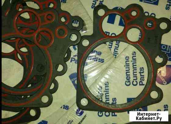 Прокладка Cummins 3099083 OIL PAN gasket Камминз Гусев