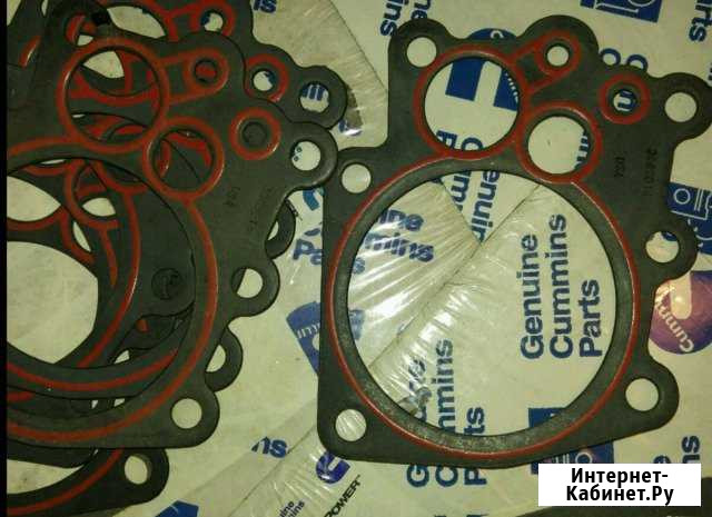 Прокладка Cummins 3099083 OIL PAN gasket Камминз Гусев - изображение 1