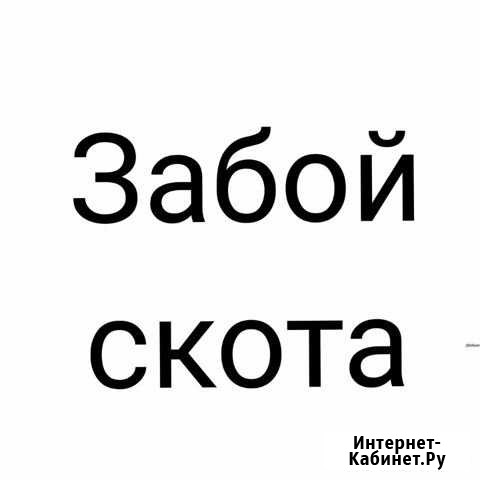 Закол с/х скота Южноуральск - изображение 1