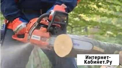Спил деревьев и расчистка участков Люберцы - изображение 1