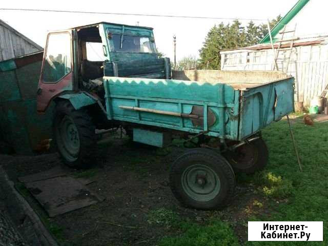 Трактор Т-16 продаётся Чишмы - изображение 1