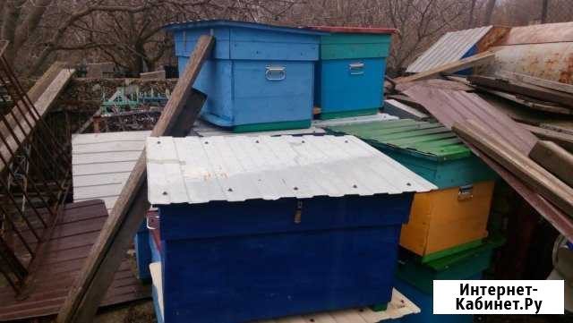 Улья и улики для пчёл Новороссийск - изображение 1