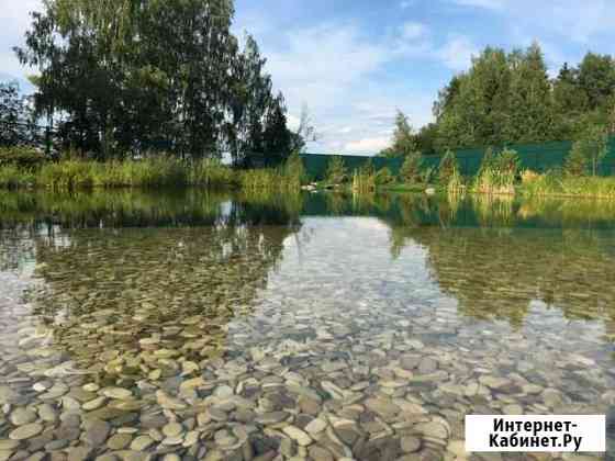 Строим водоемы и пруды для купания и рыбалки Ярославль