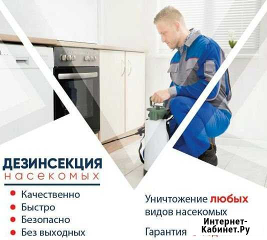 Дезинсекция Ставрополь - изображение 1