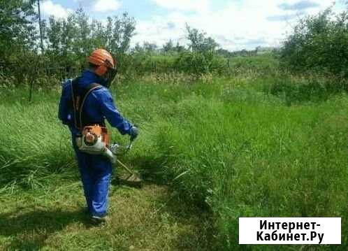 Покос Травы Михайловск - изображение 1