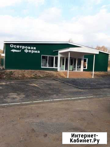 Узв выращивание рыбы Пушкино - изображение 1