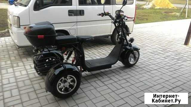 Электроскутер citycoco WS-PRO Trike 2000w 20Ah Дубовое - изображение 1