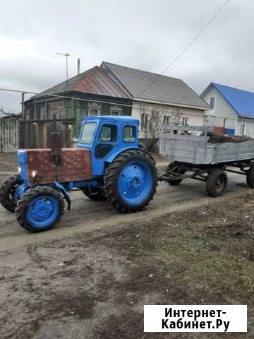 Вывоз мусора Борисоглебск - изображение 1