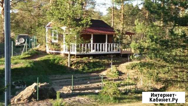 Луга. строю Луга - изображение 1