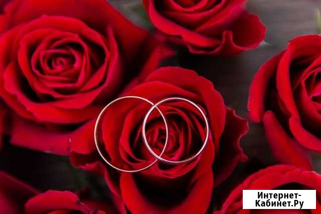 Свадебный фотограф, видеосьемка HD(2чел) Щёлково - изображение 1