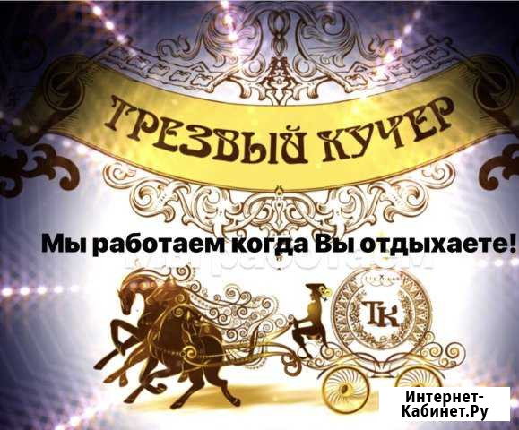 Трезвый Водитель Щербинка - изображение 1