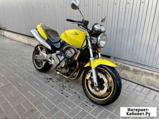 Honda Hornet 600 Краснодар
