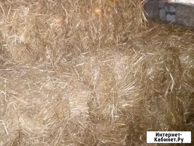 Прессование тюков Правокумское - изображение 1