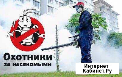 Обработка от клещей, клопов,тараканов,крыс Екатеринбург - изображение 1
