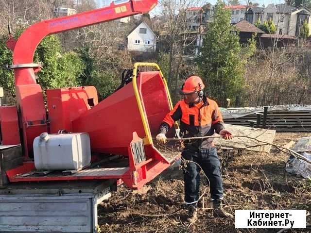 Мощный измельчитель древесины sсorpion 250 SDT Сочи - изображение 1