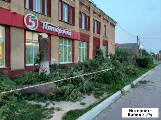 Спил И вывоз деревьев Новомосковск - изображение 1
