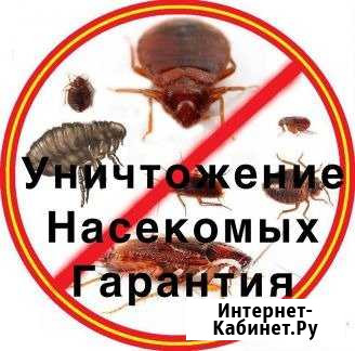 Уничтожение, клопов, тараканов, грызунов гарантия Тула - изображение 1