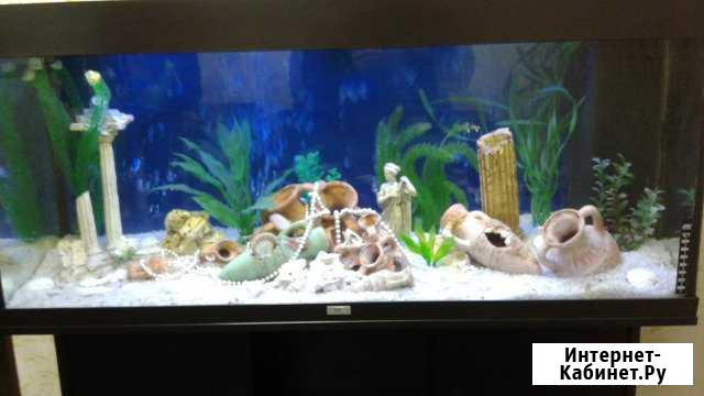 Обслуживание аквариумов, ремонт светильников, пред Москва - изображение 1