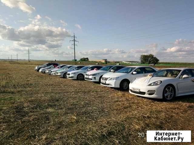 Прокат авто по всему Татарстану Набережные Челны - изображение 1