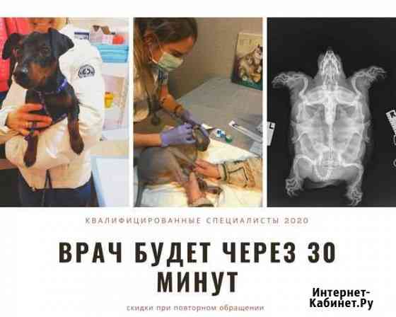 Ветеринарный Врач На Дом Круглосуточно Москва