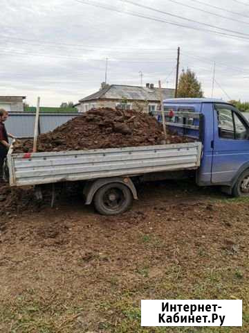 Перегной для вашего огорода Новосибирск - изображение 1