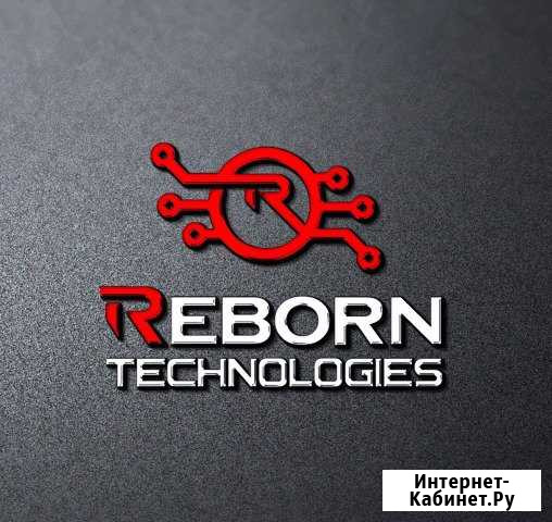 Профессиональный чип-тюнинг Reborn Tech Нижний Новгород - изображение 1