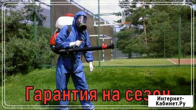 Обработка участка от клещей, кротов, борщевика, ос Ликино-Дулево - изображение 1