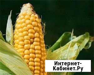 Уборка урожая зерновых, кукурузы, семечки Петропавловская - изображение 1