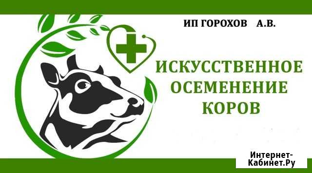 Осеменение крс Ангарск - изображение 1