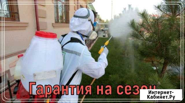 Обработка участка от клещей, кротов, борщевика, ос Люберцы - изображение 1