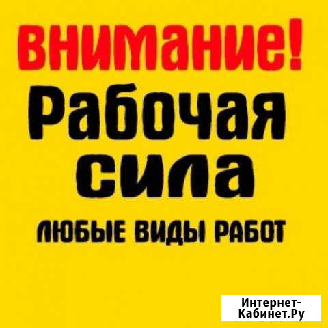 Разнорабочие/Подсобные рабочие/Уборка Территории Владимир - изображение 1