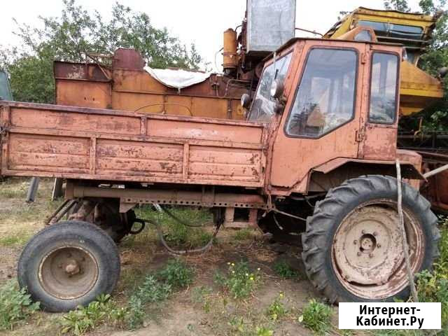 Т-16 Новоселицкое - изображение 1