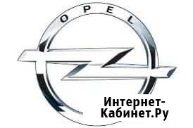 Чип тюнинг GM Opel, Chevrolet, Cadillac Орёл - изображение 1