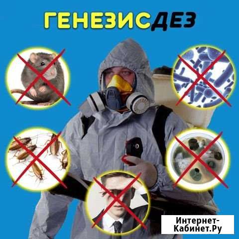 Уничтожение клещей, комаров Иваново - изображение 1
