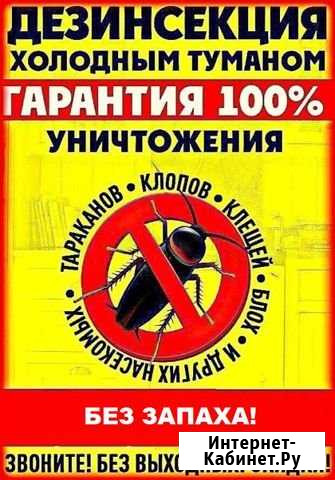 Дезинфекция тараканов,клопов. Гарантия. Опыт 9 лет Самара - изображение 1