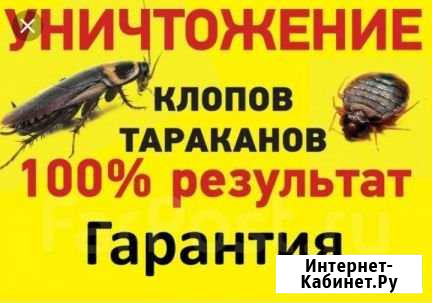 Уничтожение Тараканов, Клопов, Насекомых, Крыс Москва - изображение 1