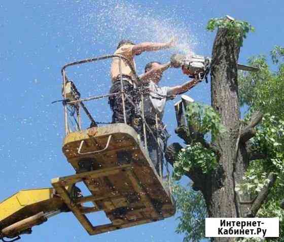 Спил/Деревьев/Расчистка/Территорий Уфа