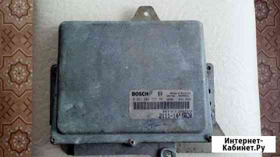 Продаю эбу (мозги) Чебоксары