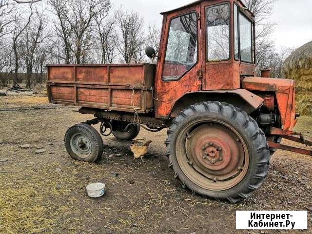 Трактор Т-16 мг Гигант - изображение 1