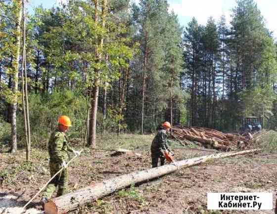 Расширение,расчистка лэп,газопроводов,автодорог,жд Киров